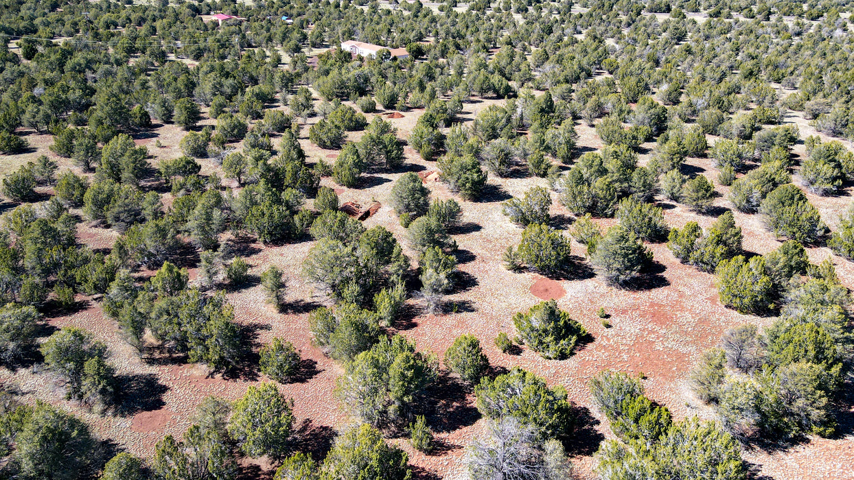 10 Acres Williams, Coconino County, AZ (Power)