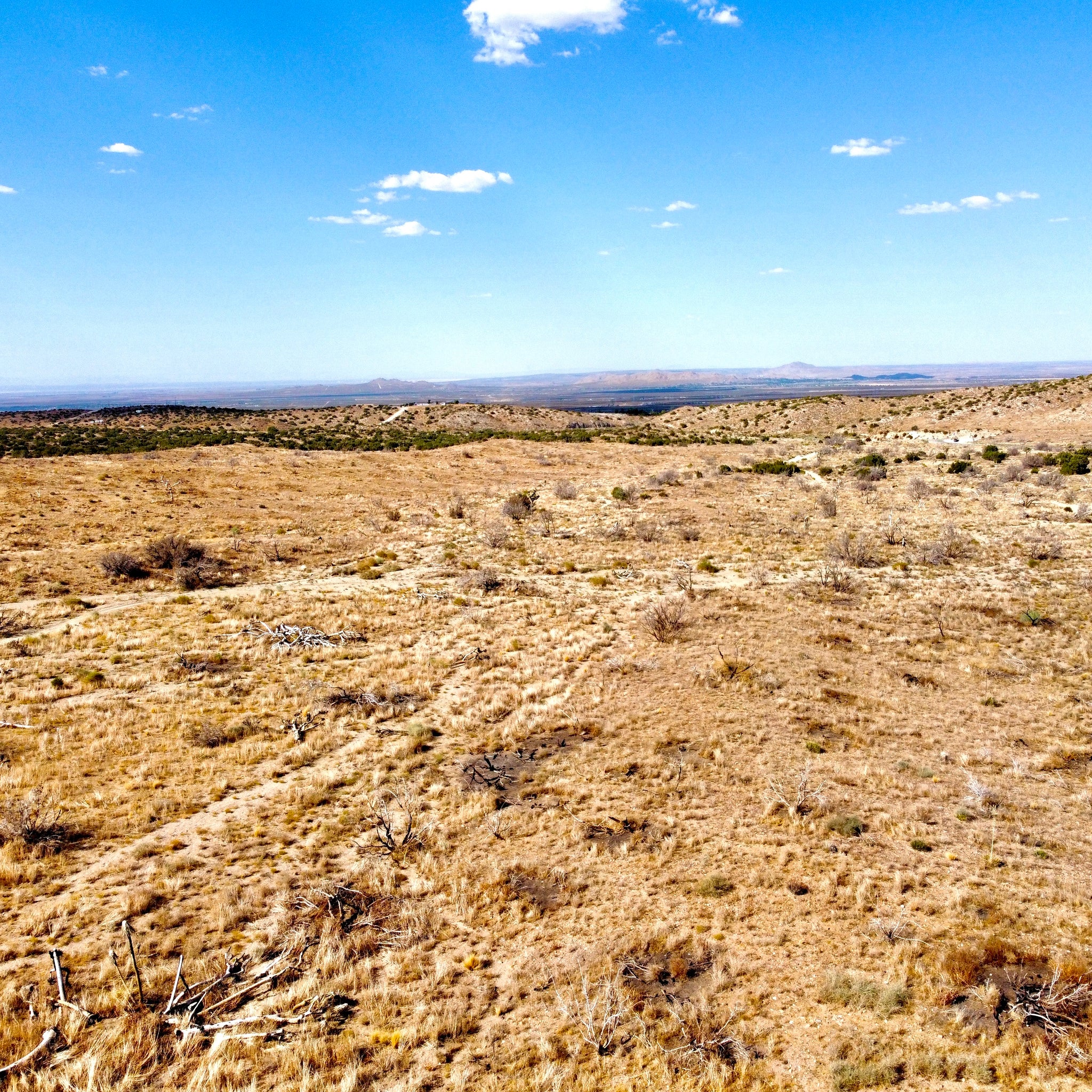 81.11 Acres Juniper Hills, Los Angeles County, CA (Paved Road)