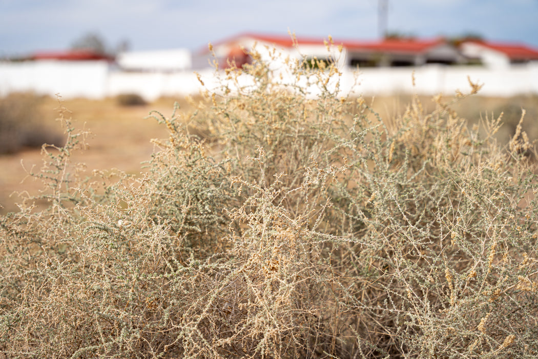 1.15 Acres Casa Grande, Pinal County, AZ (Power, Water, & Paved Road)