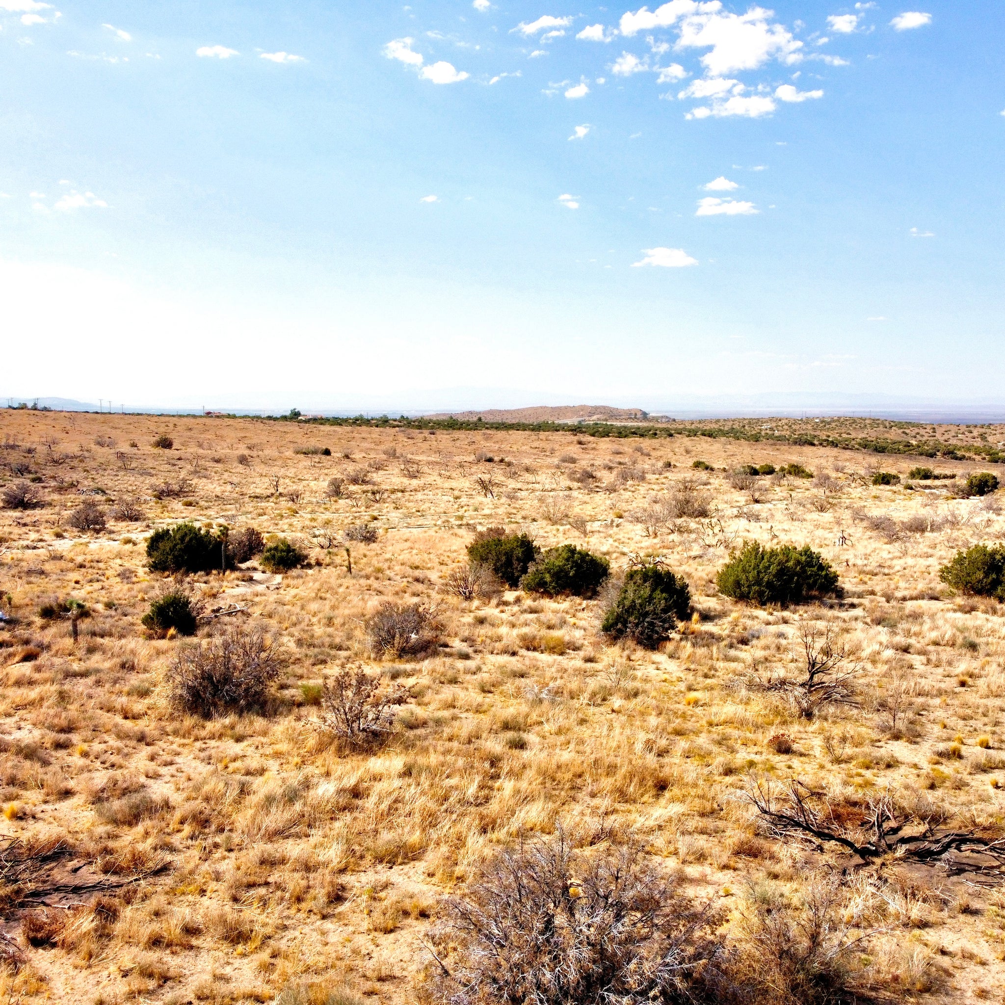 81.11 Acres Juniper Hills, Los Angeles County, CA (Paved Road)