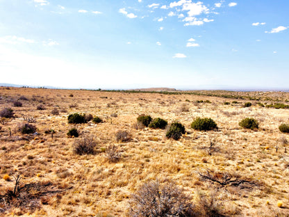 81.11 Acres Juniper Hills, Los Angeles County, CA (Paved Road)