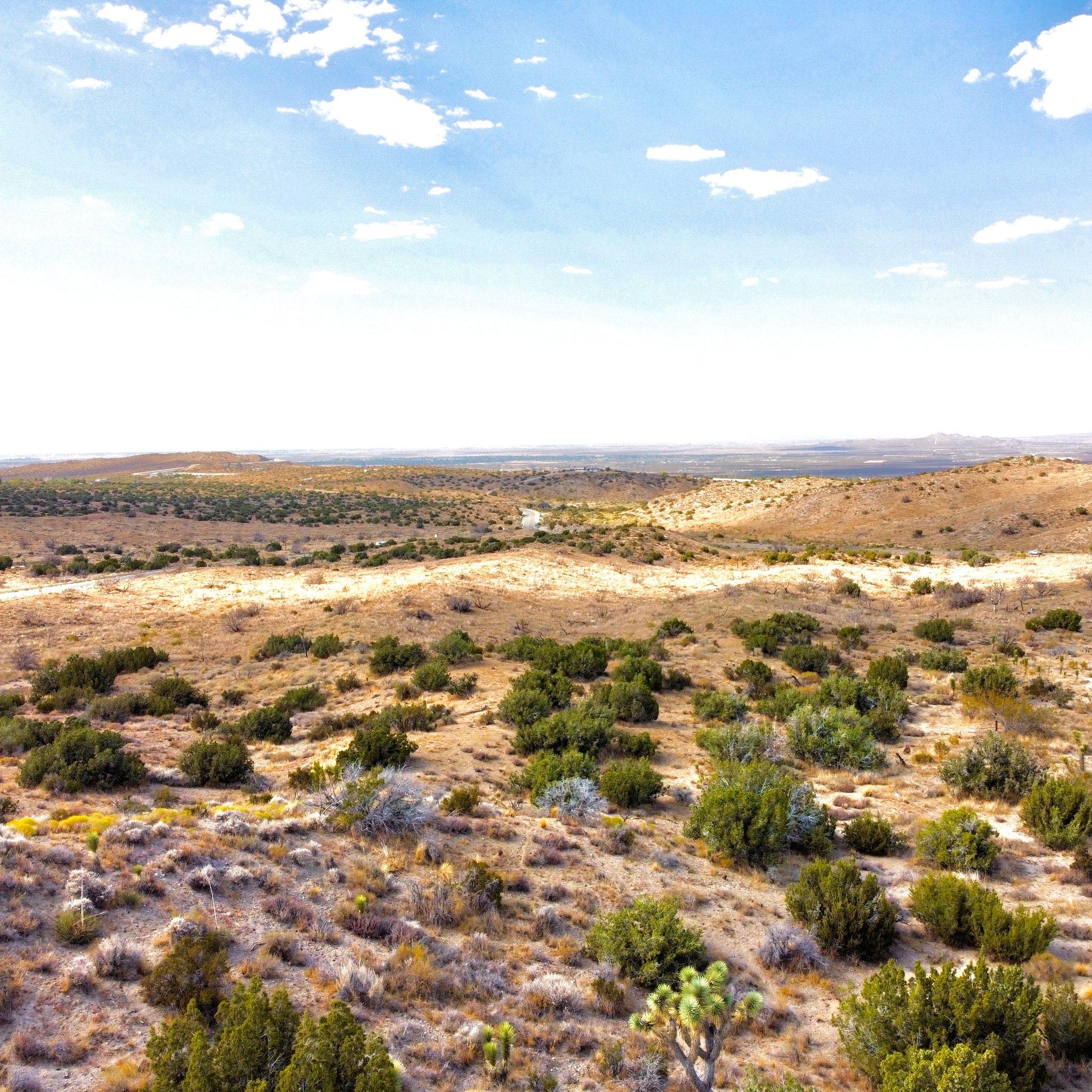 81.11 Acres Juniper Hills, Los Angeles County, CA (Paved Road)