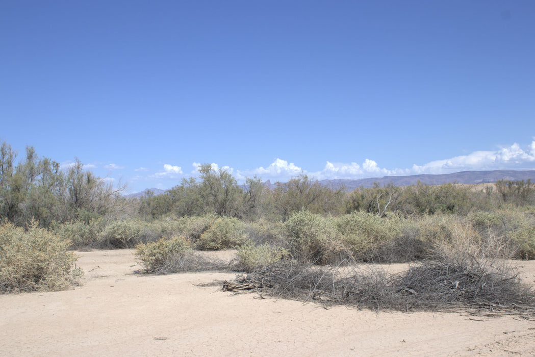 0.21 Acre Mohave Valley, Mohave County, AZ