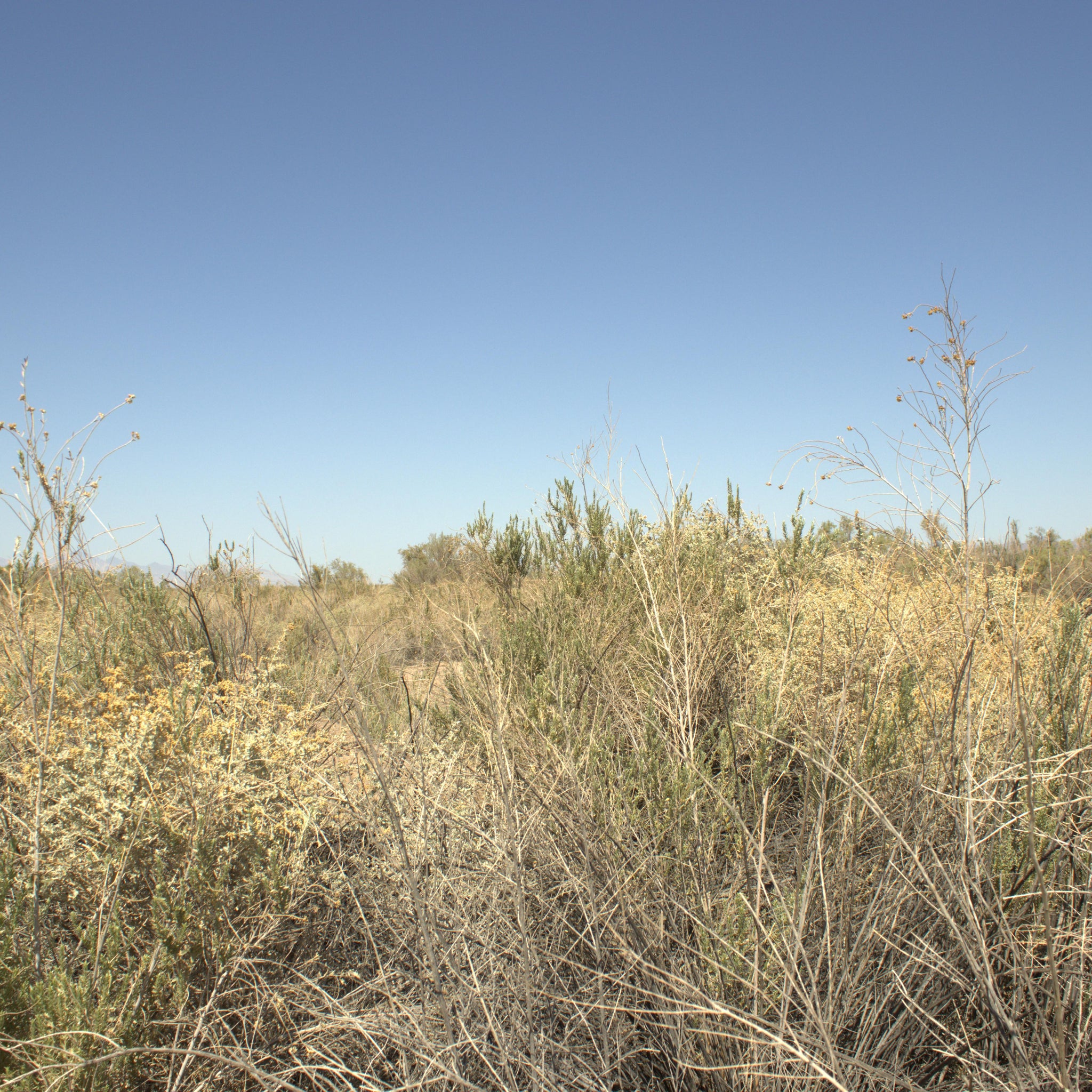 0.15 Acre Mohave Valley, Mohave County, AZ