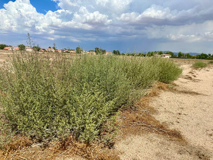 0.07 Acre Apple Valley, San Bernardino County, CA (Commercial-Residential Lot)