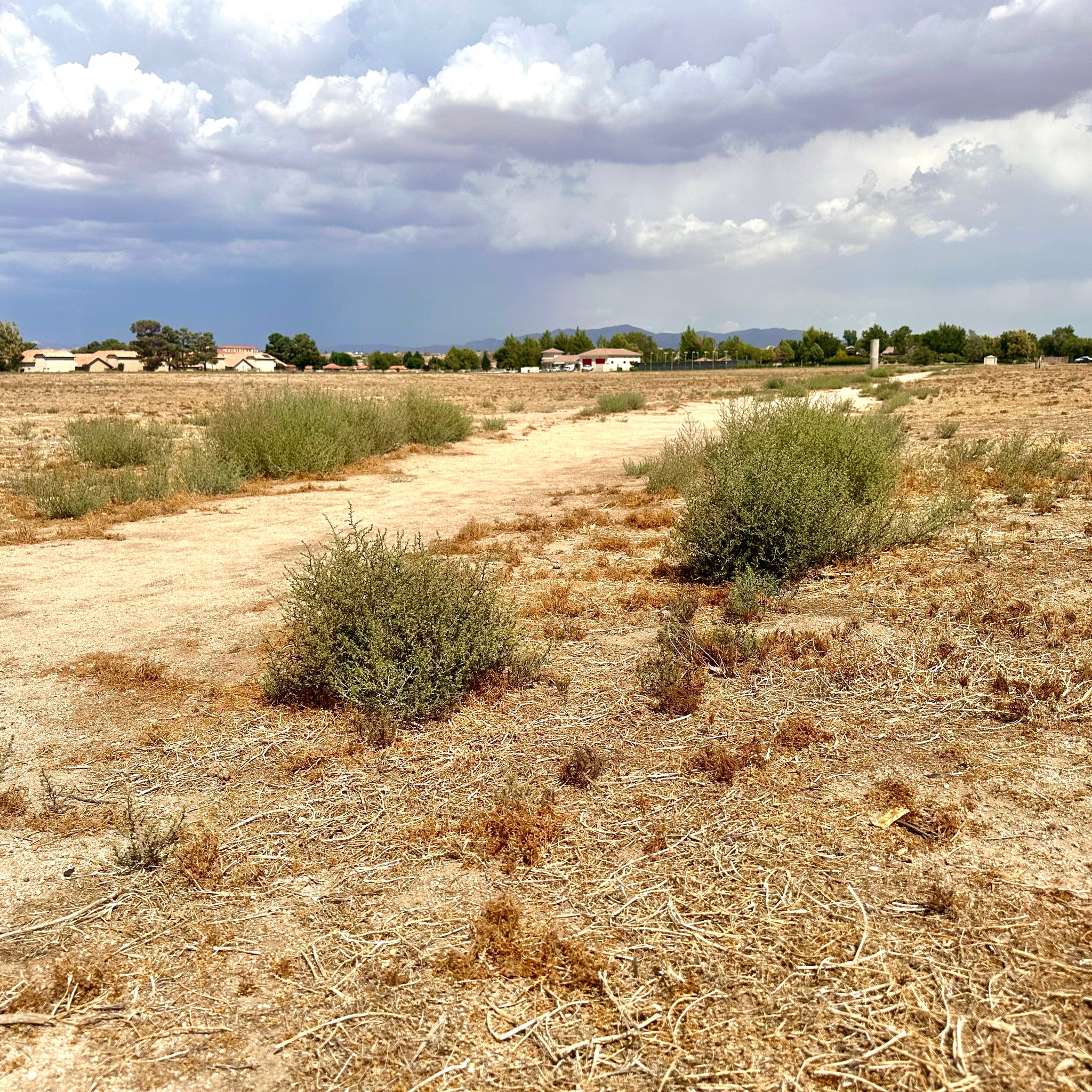 0.07 Acre Apple Valley, San Bernardino County, CA (Commercial-Residential Lot)