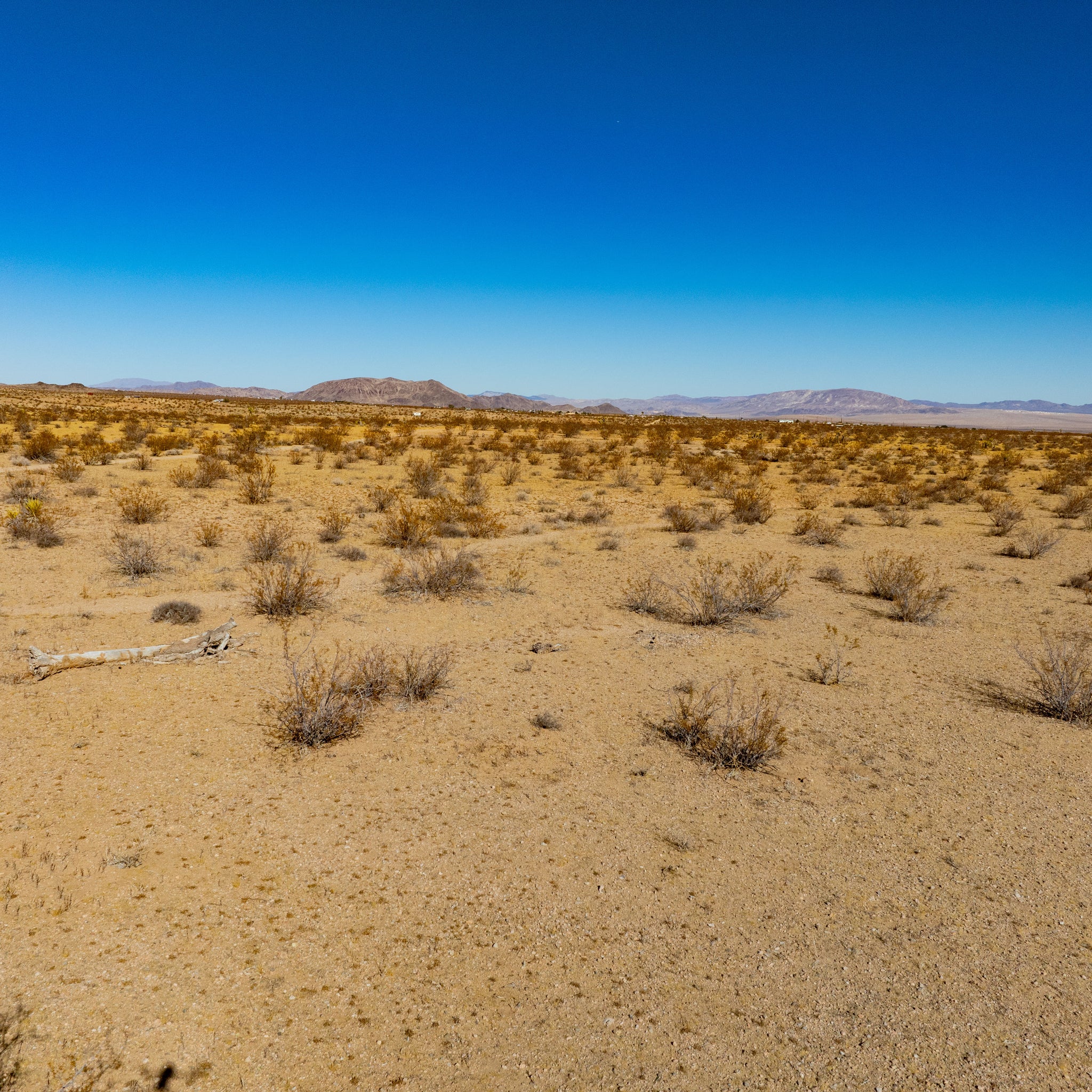 20 Acres Joshua Tree, San Bernardino County, CA