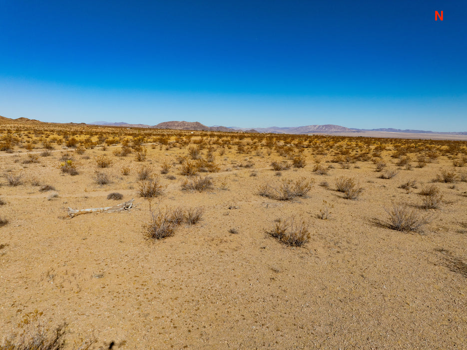 20 Acres Joshua Tree, San Bernardino County, CA