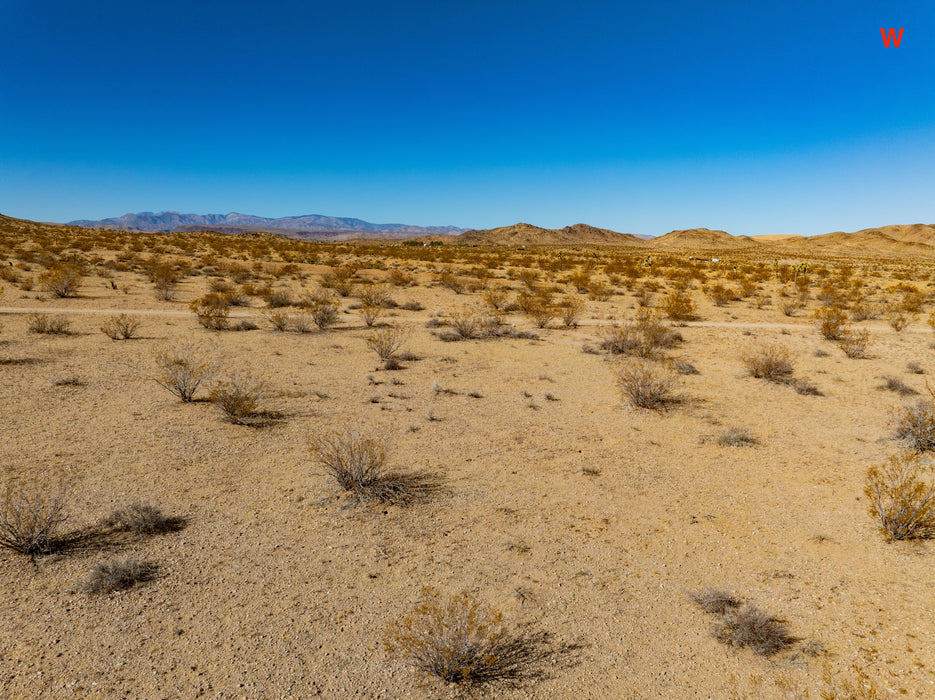 20 Acres Joshua Tree, San Bernardino County, CA