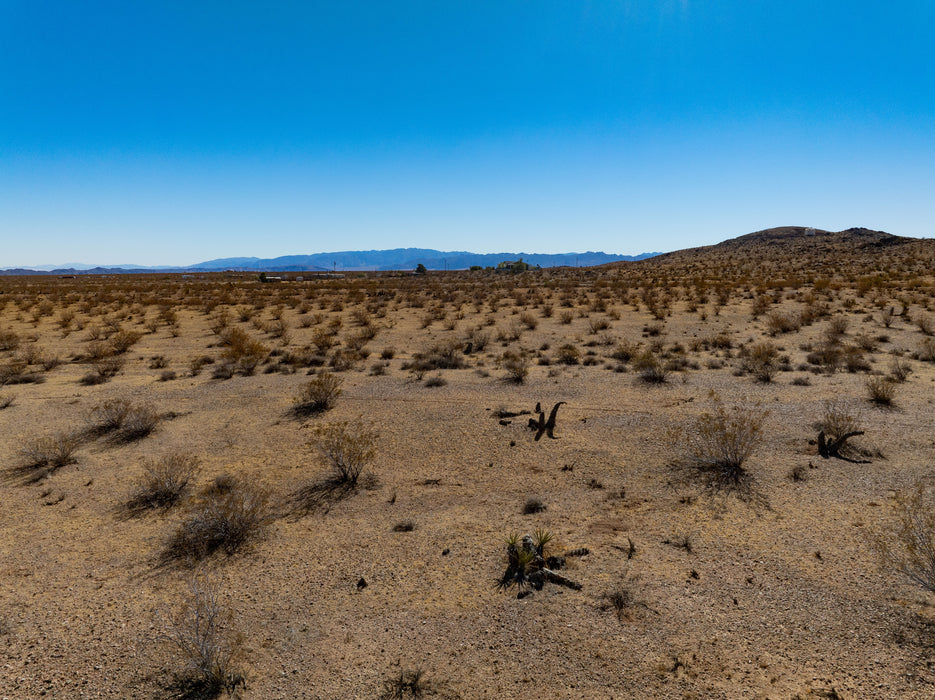 20 Acres Joshua Tree, San Bernardino County, CA