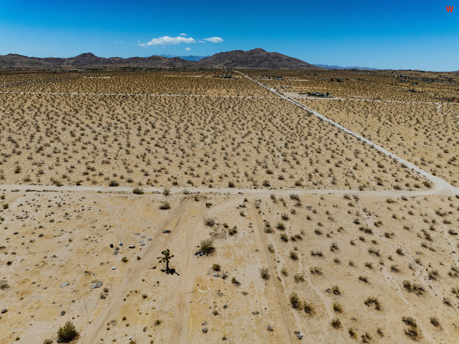 5 Acres Joshua Tree, San Bernardino County, CA