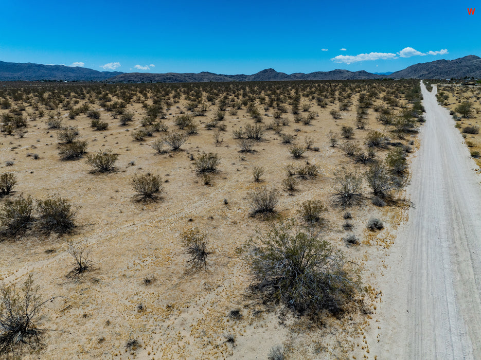 5 Acres Joshua Tree, San Bernardino County, CA