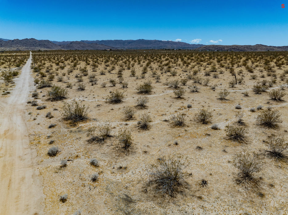 5 Acres Joshua Tree, San Bernardino County, CA