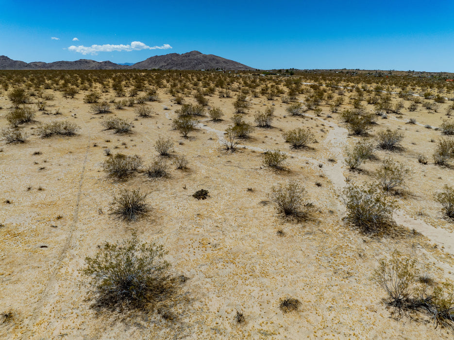 5 Acres Joshua Tree, San Bernardino County, CA