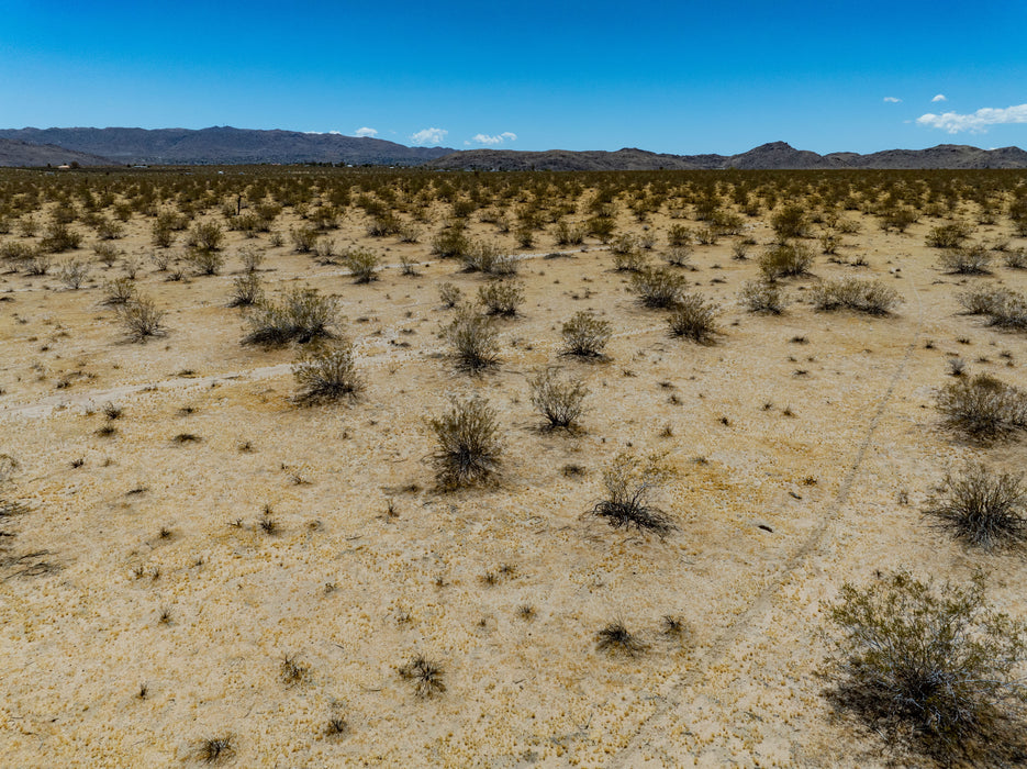 5 Acres Joshua Tree, San Bernardino County, CA