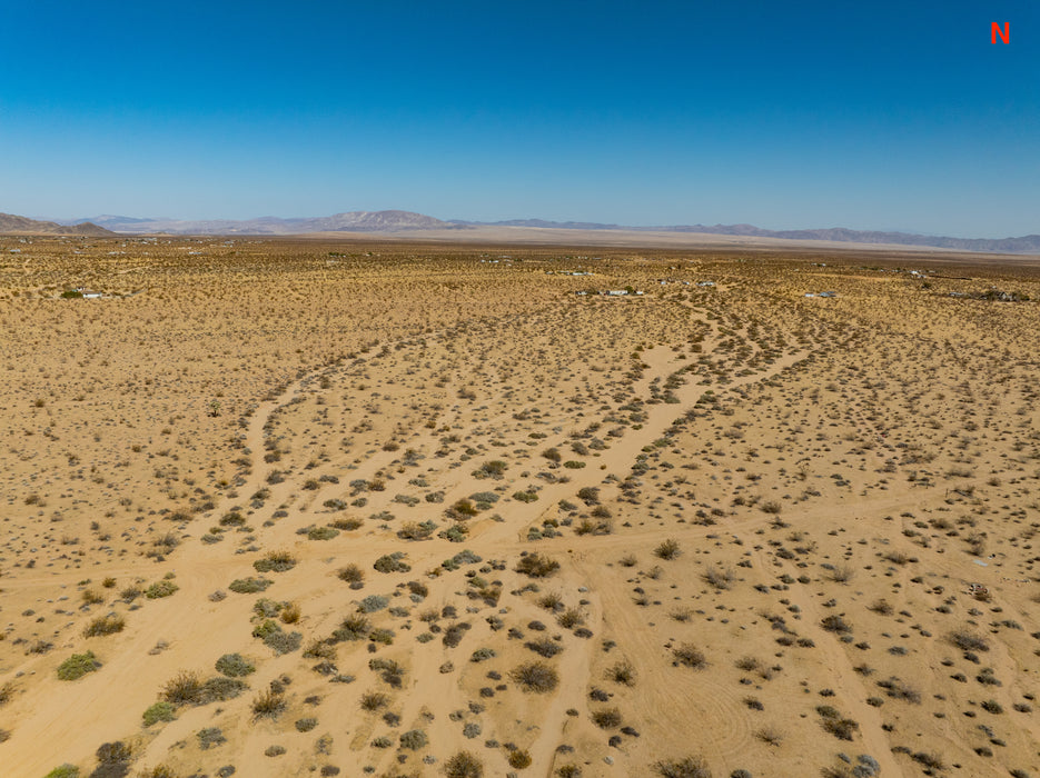 5 Acres Joshua Tree, San Bernardino County, CA