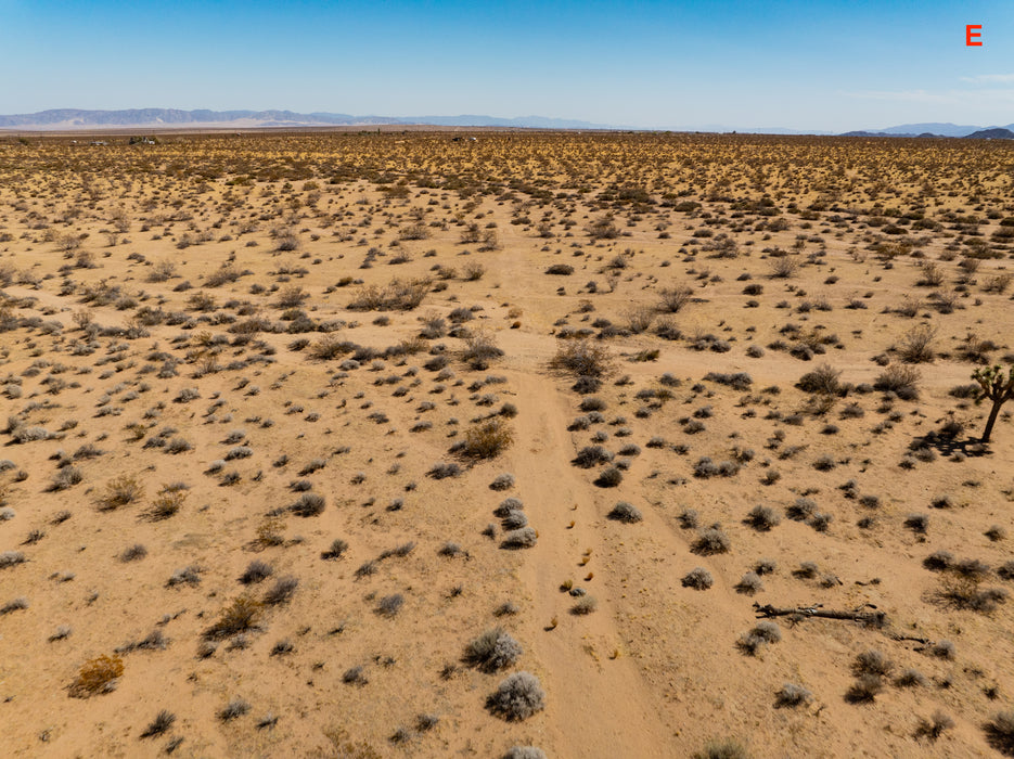 5 Acres Joshua Tree, San Bernardino County, CA