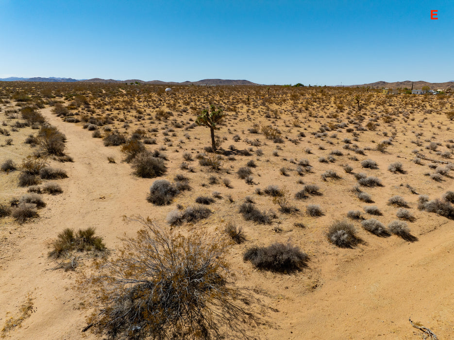 5 Acres Joshua Tree, San Bernardino County, CA