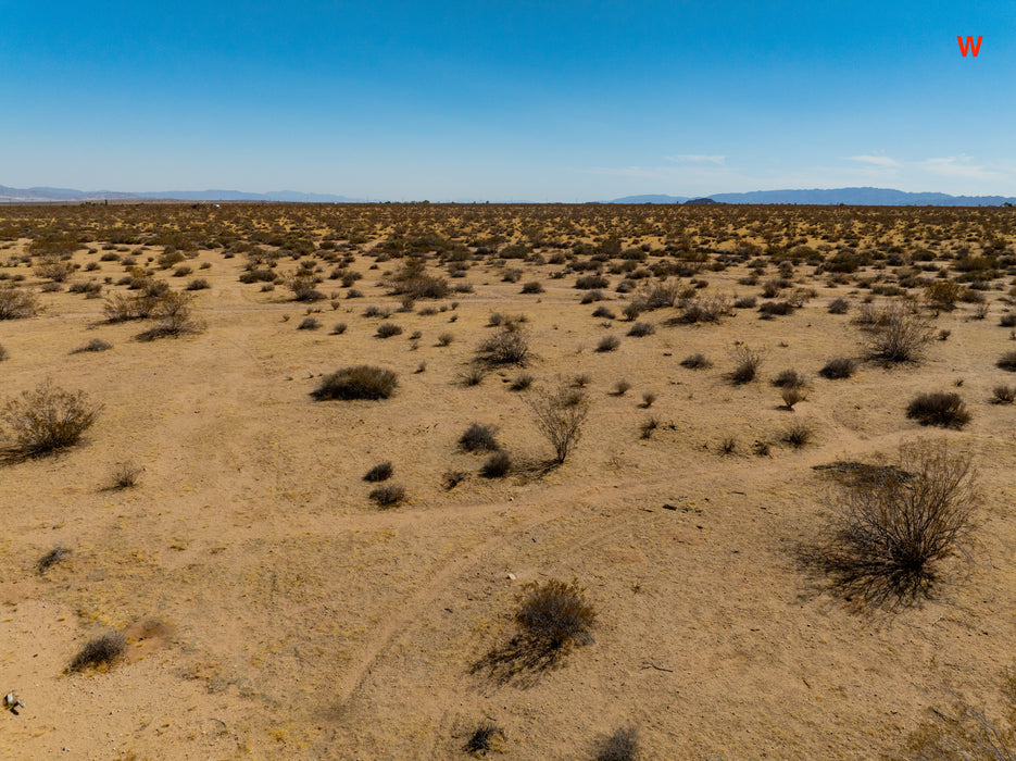 5 Acres Joshua Tree, San Bernardino County, CA