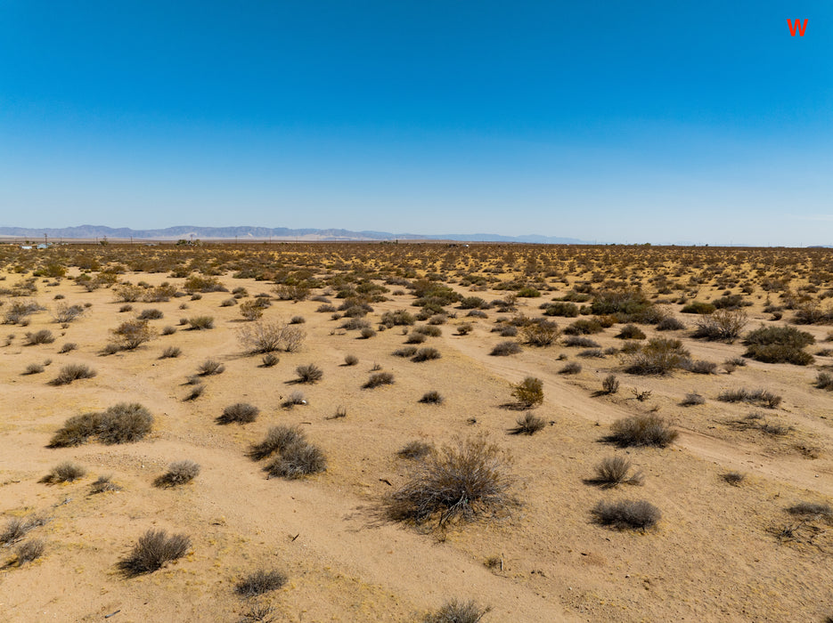 5 Acres Joshua Tree, San Bernardino County, CA