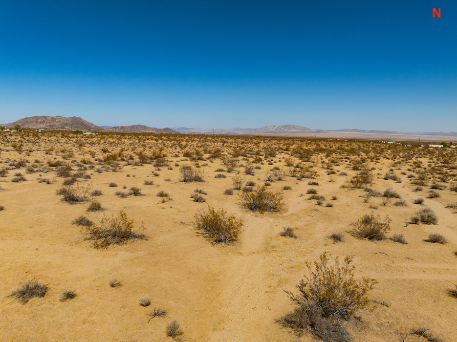 5 Acres Joshua Tree, San Bernardino County, CA