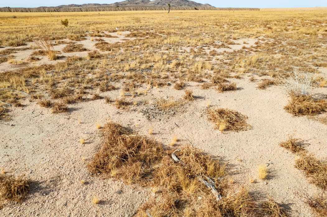 32.41 Acres Adelanto, San Bernardino County, CA