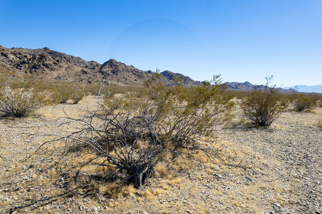 10 Acres Lucerne Valley, San Bernardino County, CA