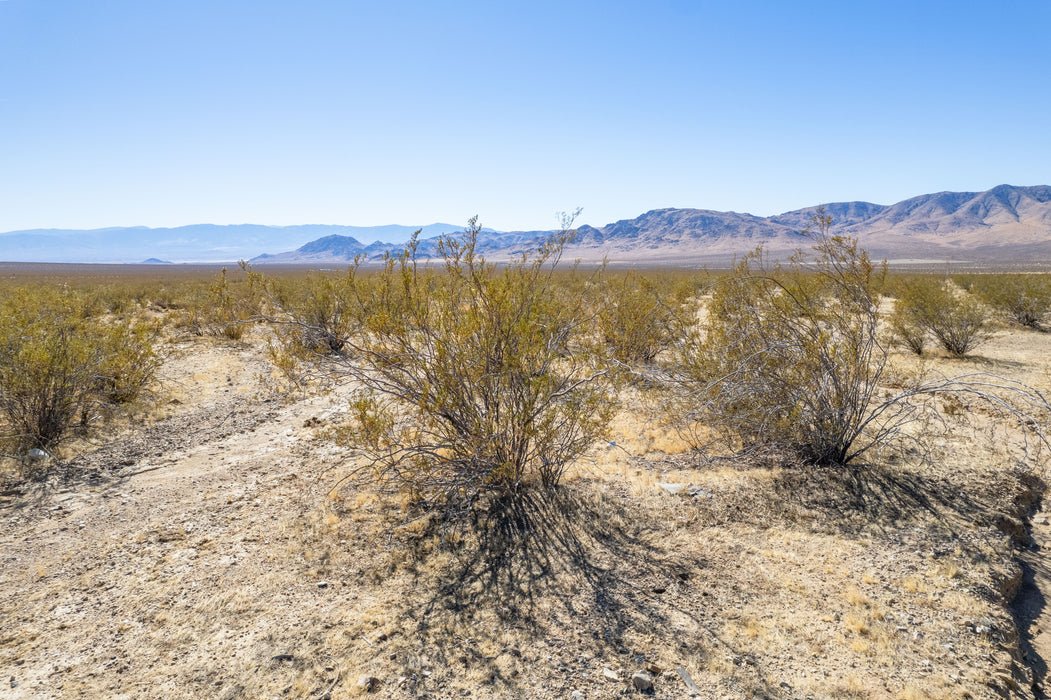 10 Acres Lucerne Valley, San Bernardino County, CA