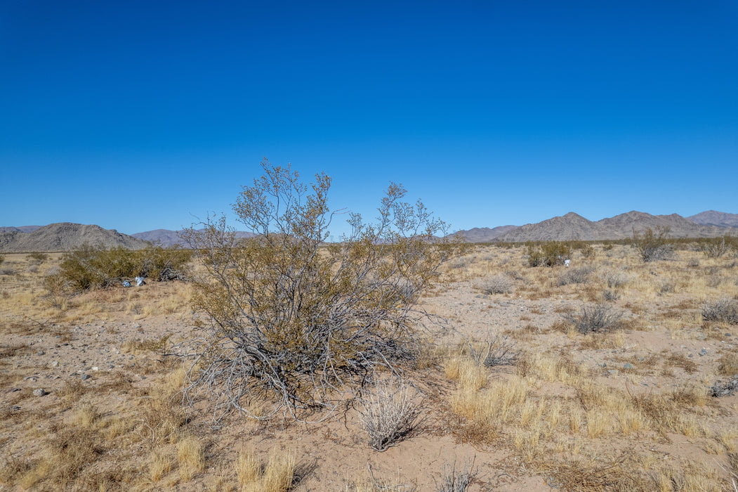 20 Acres Lucerne Valley, San Bernardino County, CA