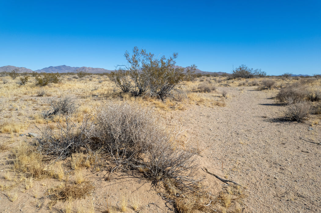 20 Acres Lucerne Valley, San Bernardino County, CA