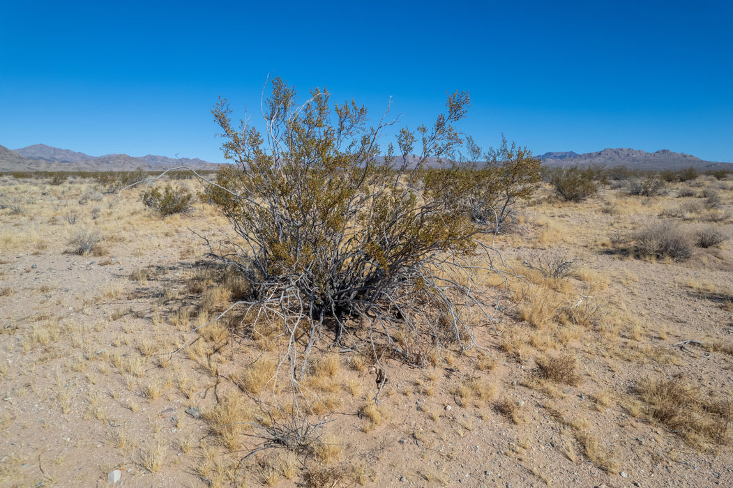 20 Acres Lucerne Valley, San Bernardino County, CA