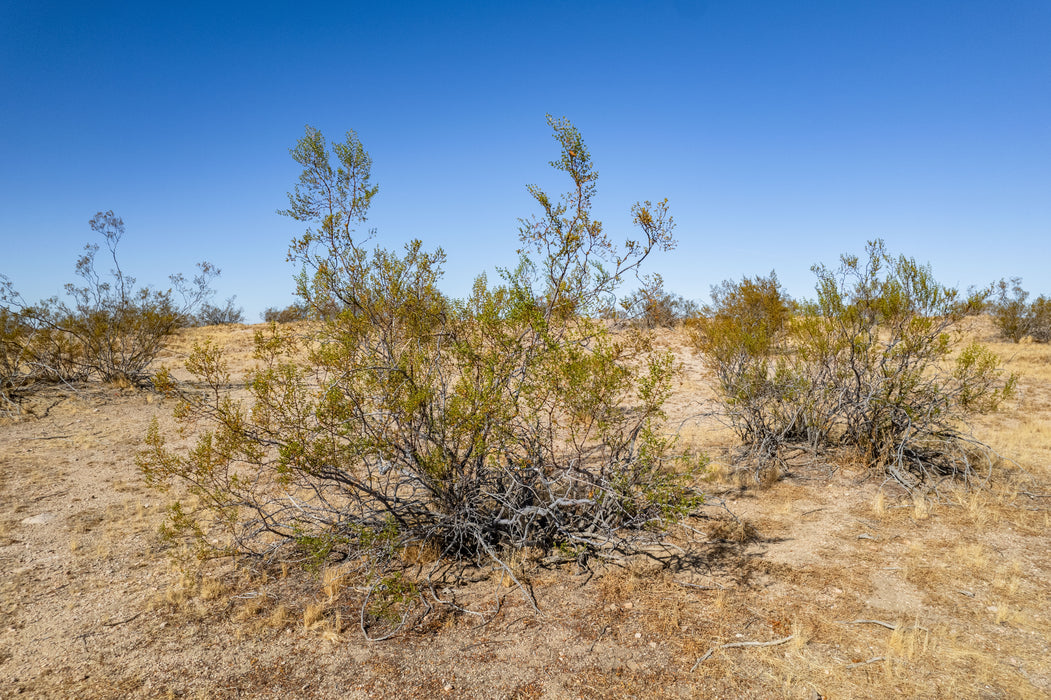 10 Acres Lancaster, Los Angeles County, CA