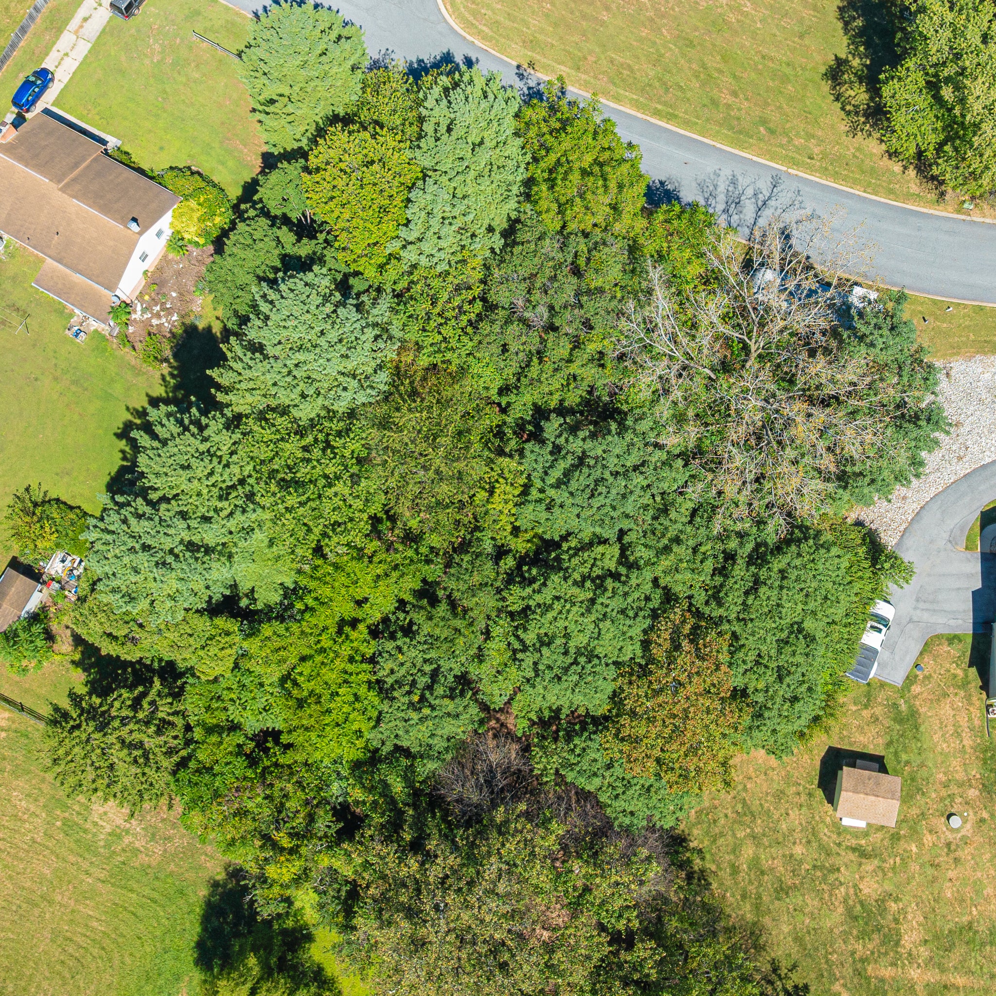 0.56 Acre Westminster, Carroll County, MD (Power, Water, and Paved Road)