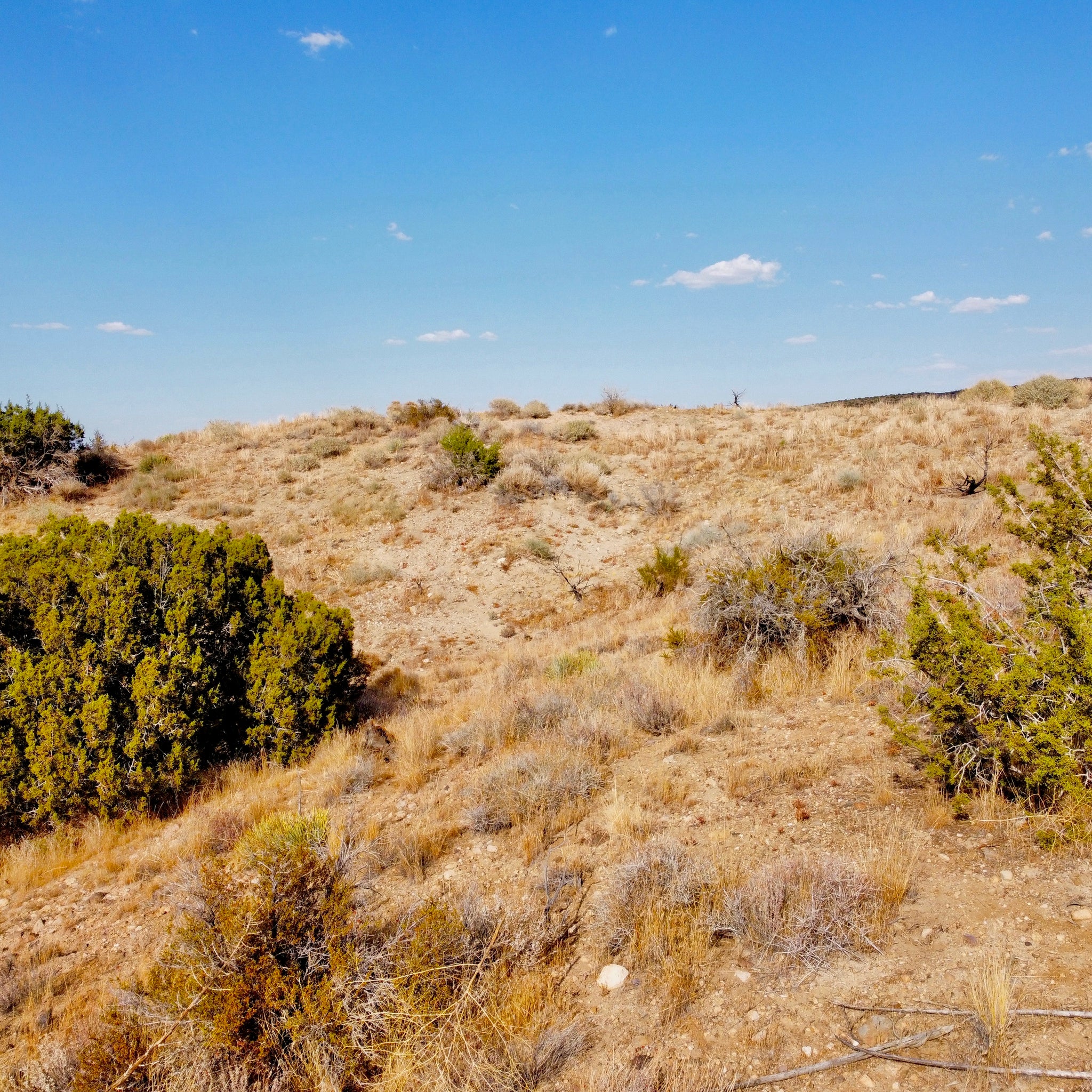 81.11 Acres Juniper Hills, Los Angeles County, CA (Paved Road)