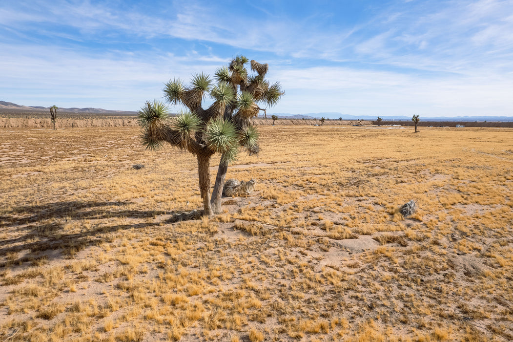 32.41 Acres Adelanto, San Bernardino County, CA