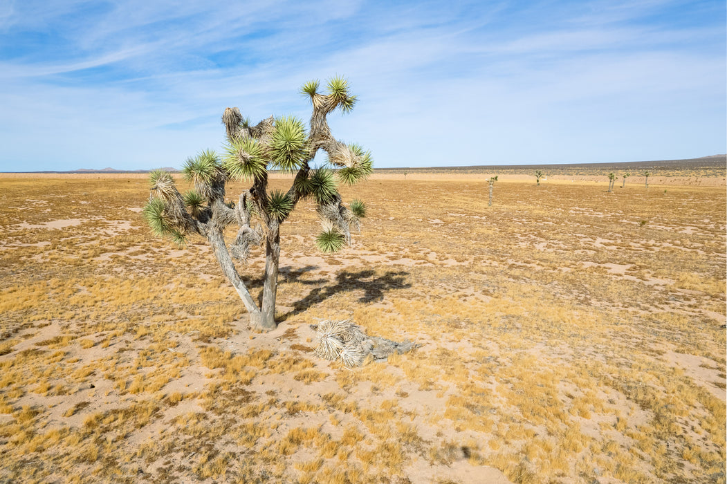 32.41 Acres Adelanto, San Bernardino County, CA