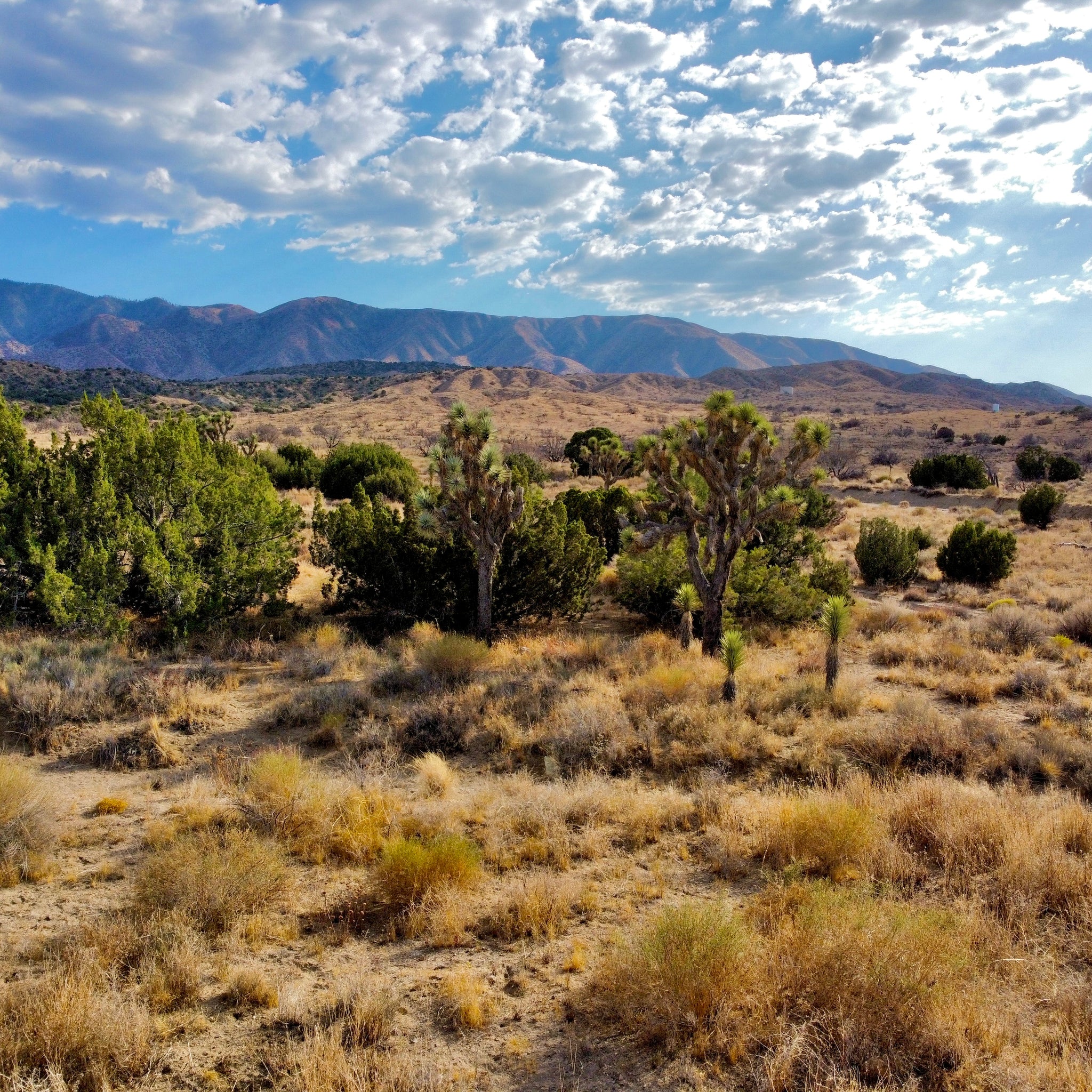 81.11 Acres Juniper Hills, Los Angeles County, CA (Paved Road)