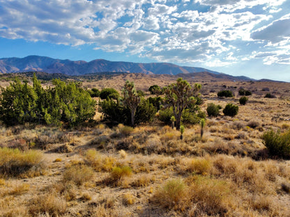 81.11 Acres Juniper Hills, Los Angeles County, CA (Paved Road)