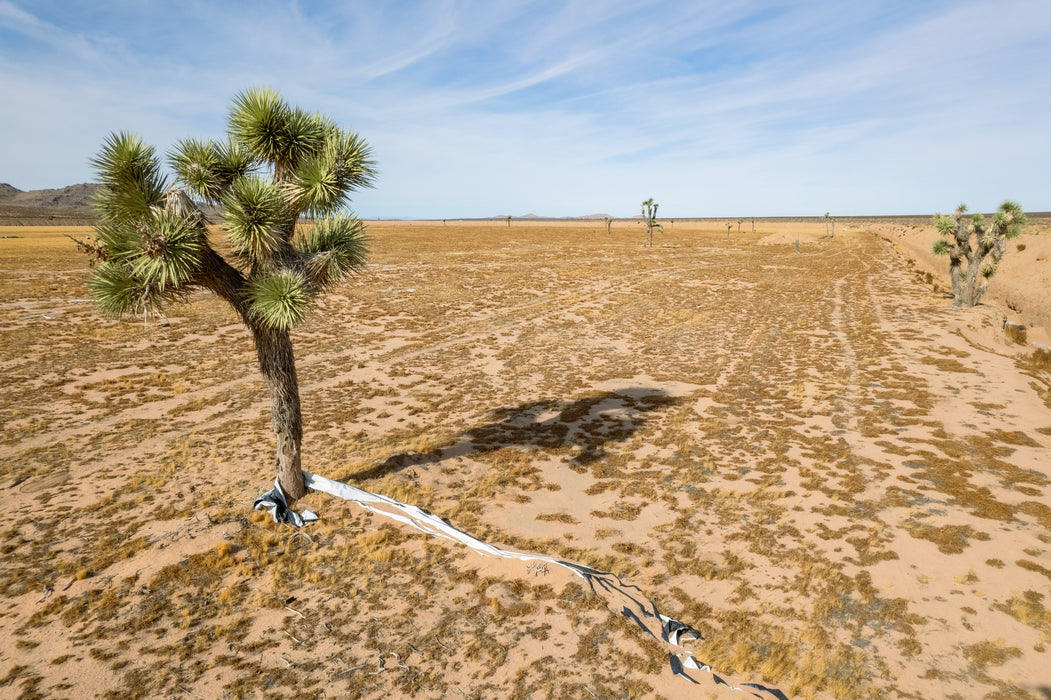 32.41 Acres Adelanto, San Bernardino County, CA