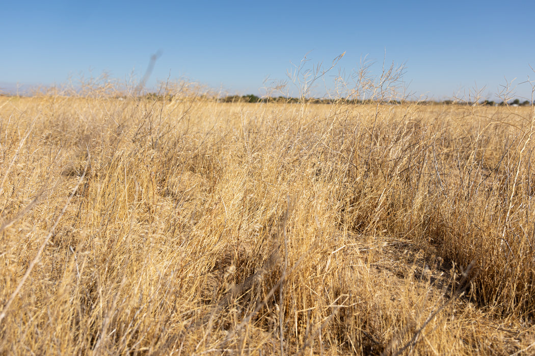 4.27 Acres Lancaster, Los Angeles County, CA