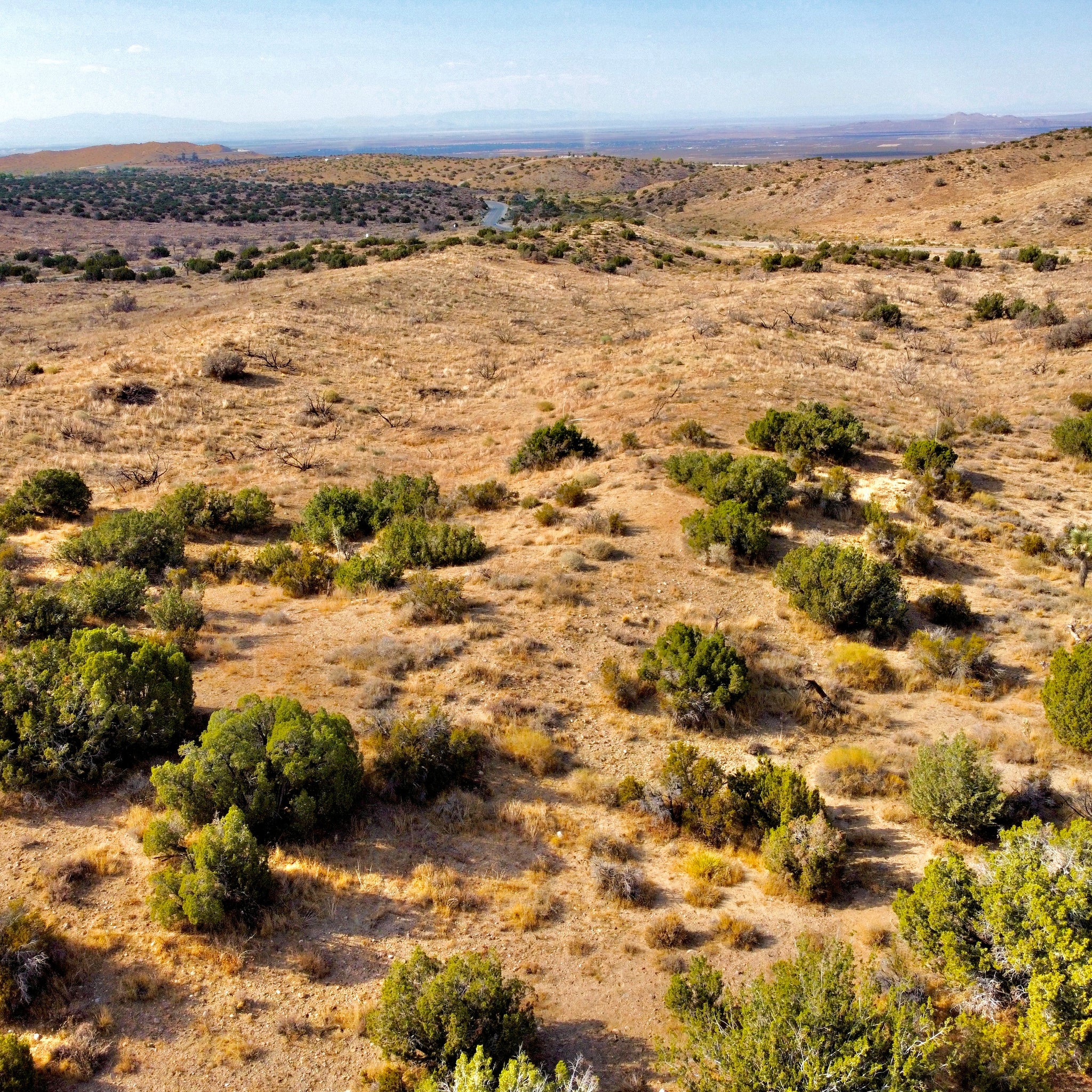 81.11 Acres Juniper Hills, Los Angeles County, CA (Paved Road)
