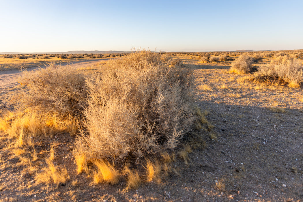 21.49 Acres California City, Kern County, CA