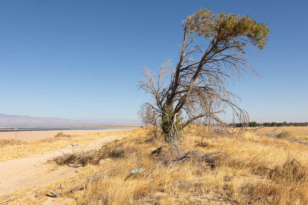 4.27 Acres Lancaster, Los Angeles County, CA