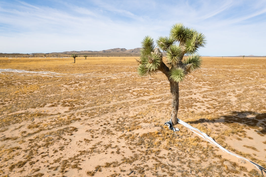 32.41 Acres Adelanto, San Bernardino County, CA