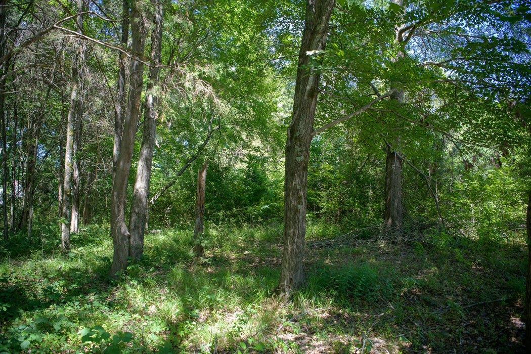 0.50 Acre Memphis, Shelby County, TN (Power, Water, & Paved Road)