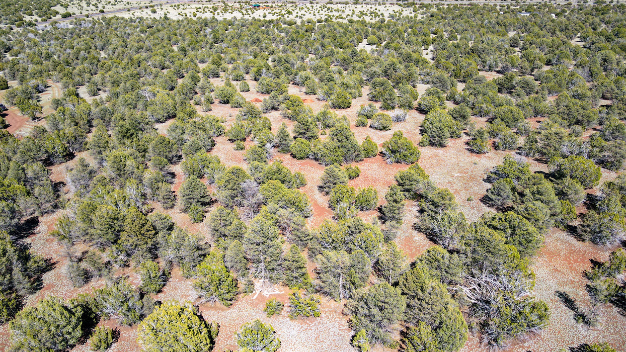 10 Acres Williams, Coconino County, AZ (Power)