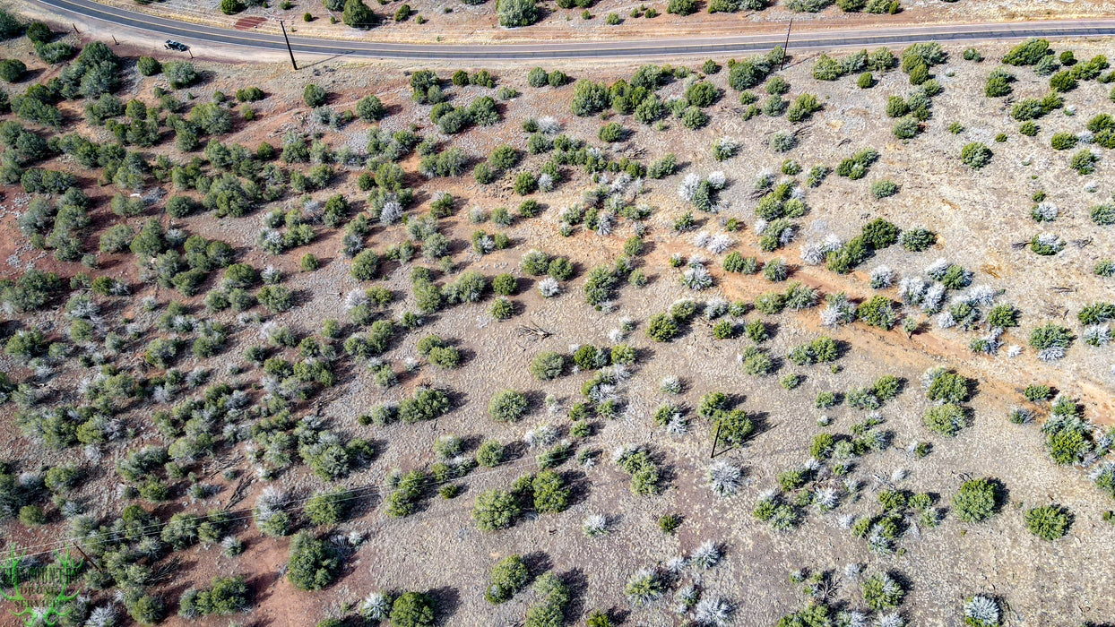 3.24 Acres Williams, Coconino County, AZ (Power & Paved Road)