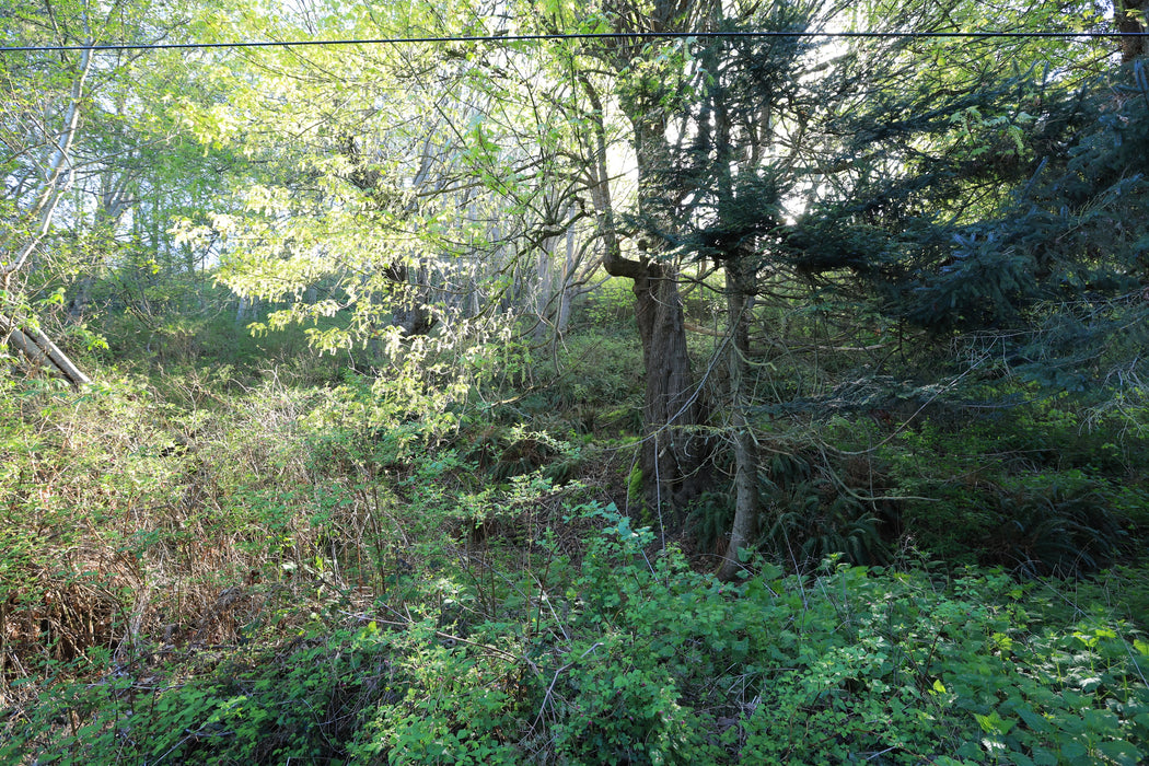 0.45 Acre Coupeville, Island County, WA (Power, Water & Paved Road)