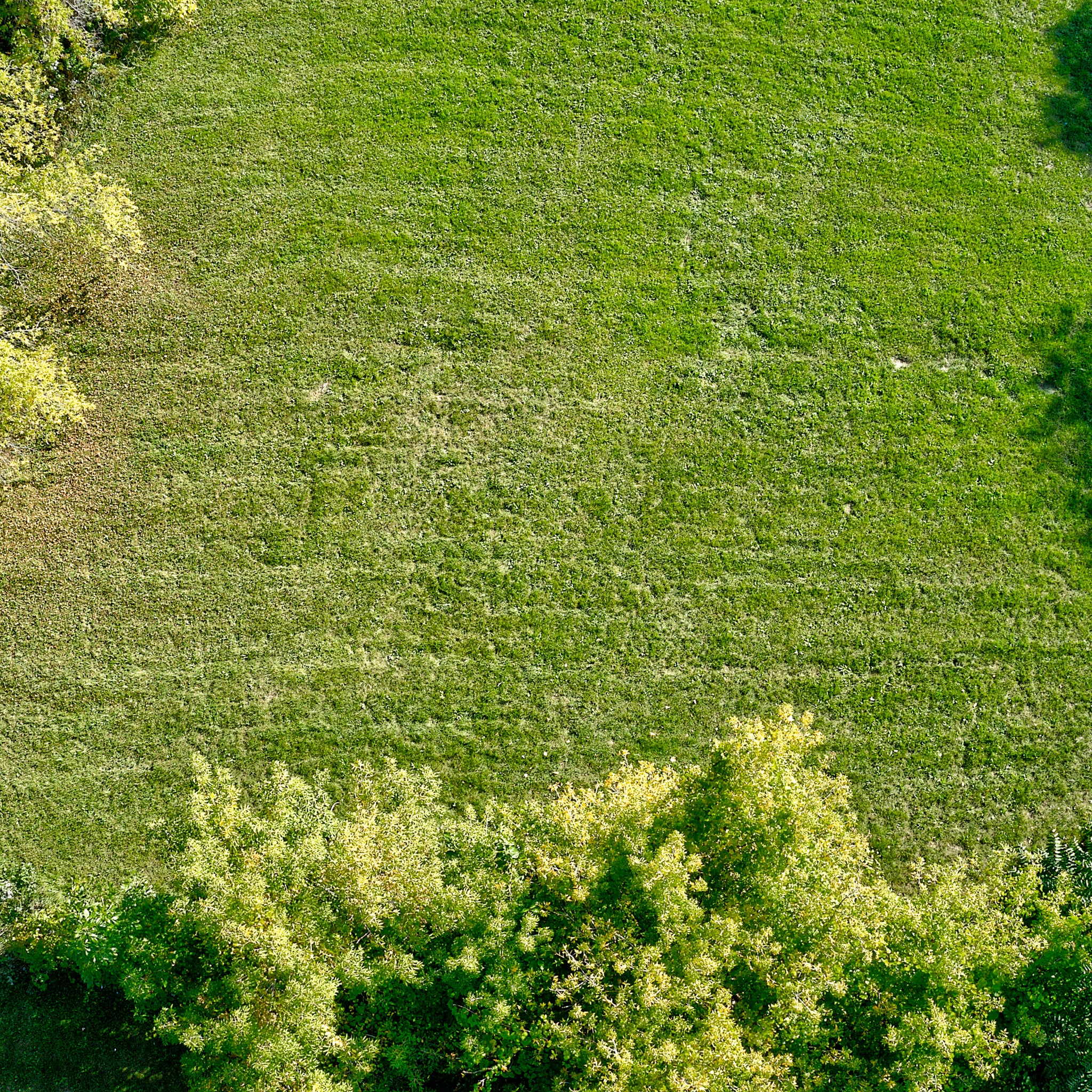 0.14 Acre Milwaukee, Milwaukee County, WI (Power, Water, & Paved Road)