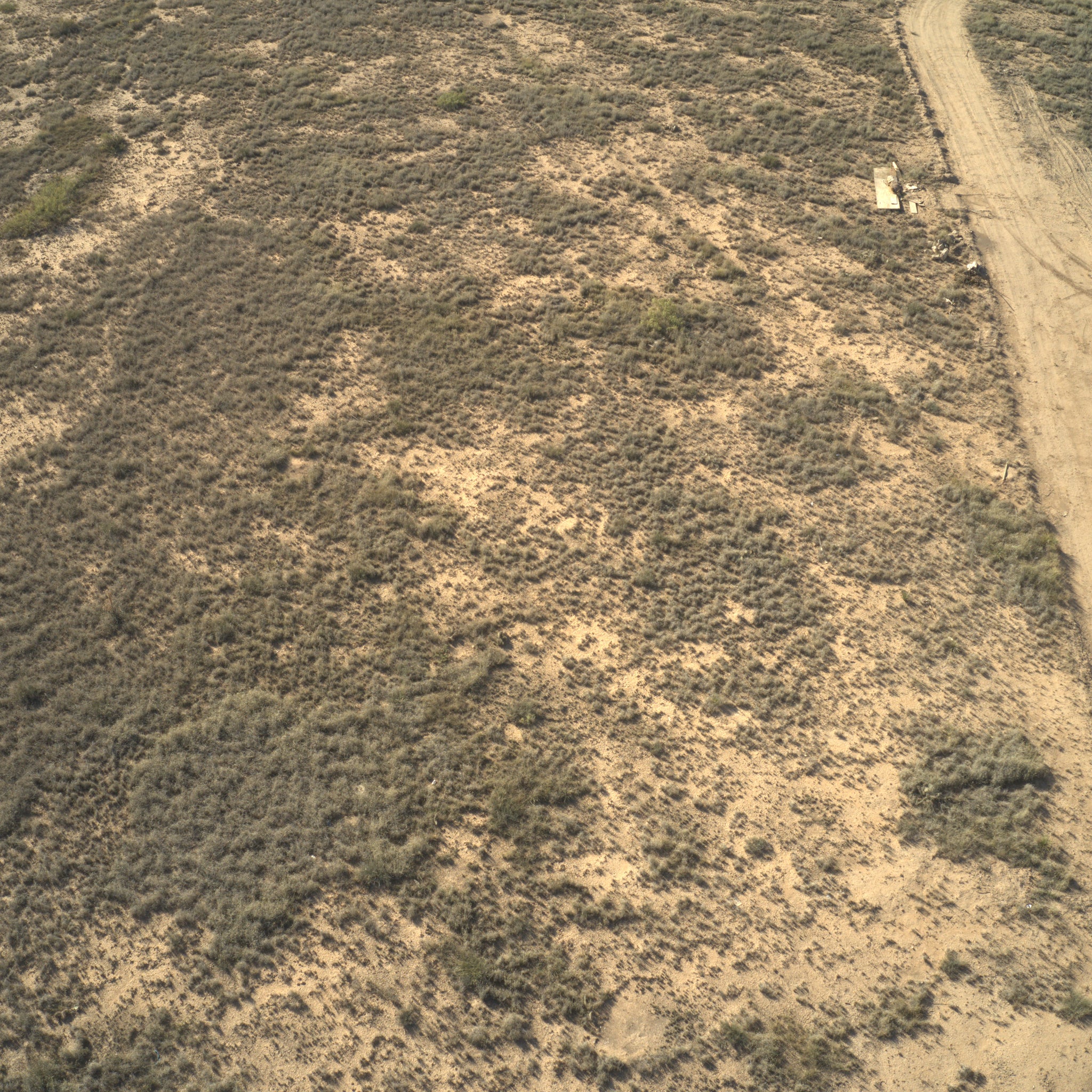 0.62 Acre Roswell, Chaves County, NM (Power & Water)